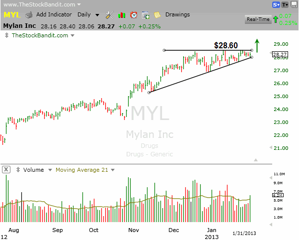 MYL-02012013